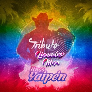Tributo Lisandro Meza: Trompo Sarandengue / Recorriendo el Perú / La Boyana - Single