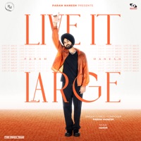 Live It Large - Single - Param Manesh & IGMOR