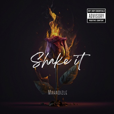 Shake it - Single