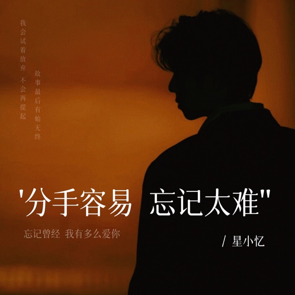 分手容易 忘记太难 - Single