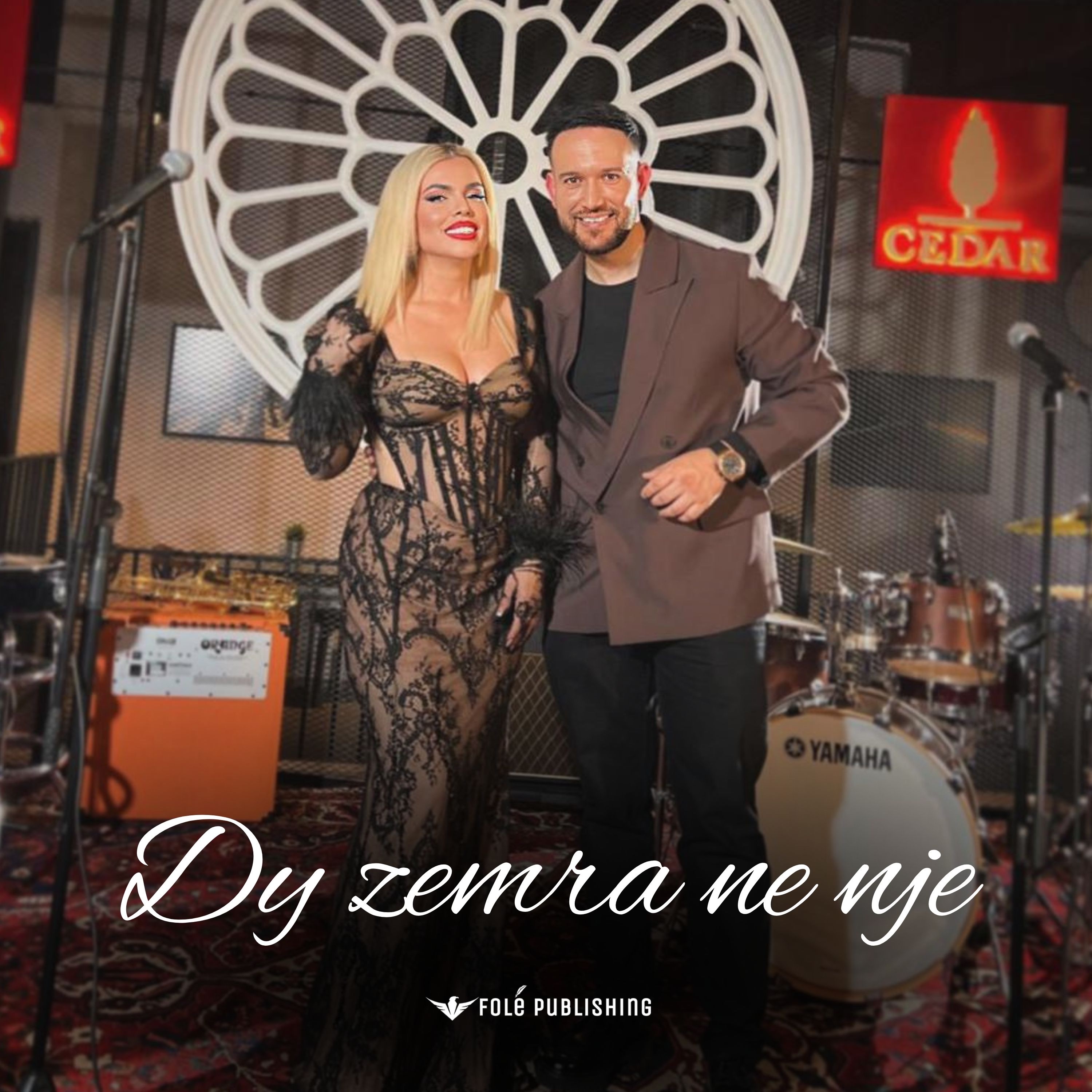 Dy zemra ne nje - Single