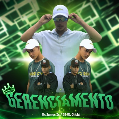 Gerenciamento (feat. Dj ML Oficial) - Single