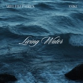 Living Water artwork