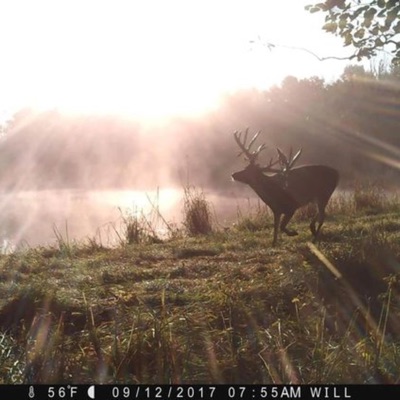 meeningless - Single