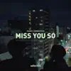 Miss You So
