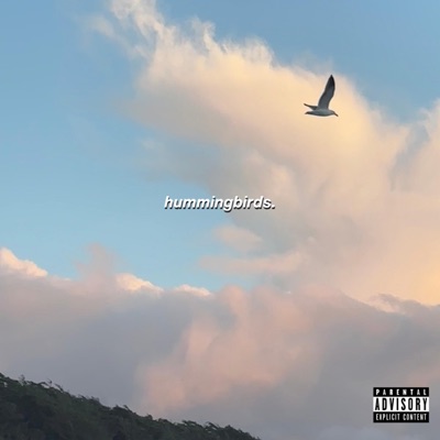 Hummingbirds (4 You) - Single