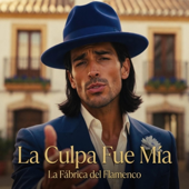 La Culpa Fue Mía