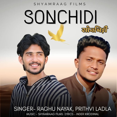 Sonchidi (feat. Prithvi ladla) - Single