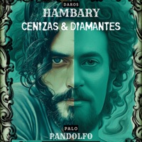 CENIZAS & DIAMANTES (cover Palo Pandolfo) - Single - Daro's