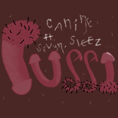 pussi (feat. SEVYN!, Sleez & chris9000) - Single