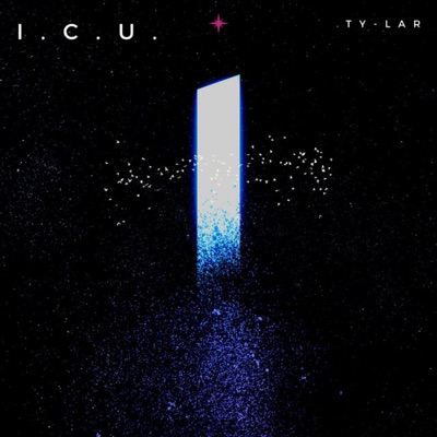 ICU - Single