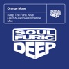 Keep The Funk Alive (Jazz-N-Groove Primetime Mix) - Single