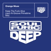 Keep The Funk Alive (Jazz-N-Groove Primetime Mix) artwork