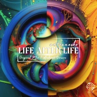Life After Life - Single - antoanesko
