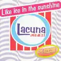 Like Ice In The Sunshine