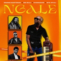 Ngale (feat. Big Zulu, Nyamazane & Siya Ntuli) - Single - Sparks Bantwana
