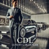 CDL luxury Car Dealer - Single