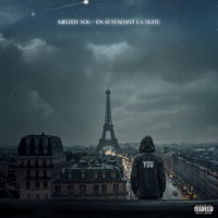 EN ATTENDANT LA SUITE - Mister You