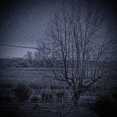 DRY SONG AND A LOT OF BLOOD - EP