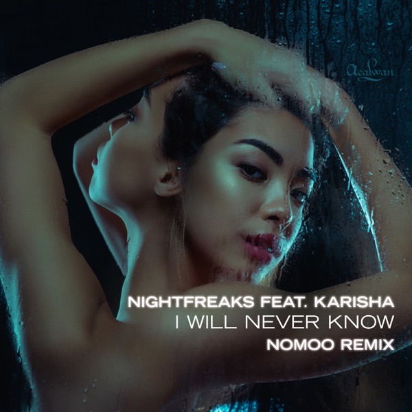 I Will Never Know (Nomoo Remix) [feat. Karisha] - Single