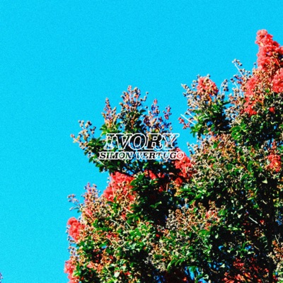 Ivory - Single
