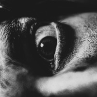 Login - Single - Keosz