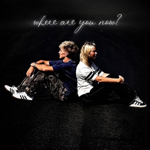 where are you now? (feat. Brin) - Single