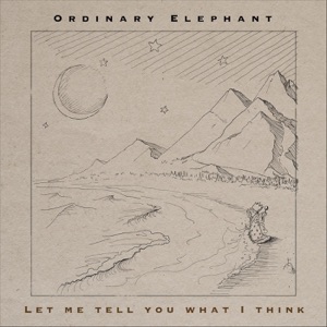 Let Me Tell You What I Think - Single
