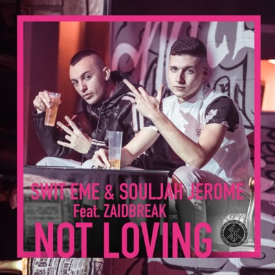 Not Loving (feat. Zaidbreak) - Single