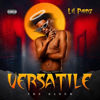 Lilpamzgambia - We Lit