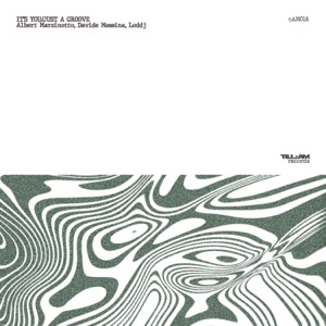 It's You / Just a Groove - Single
