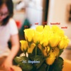 It's a Sad and Beautiful World (feat. Martha Wainwright)