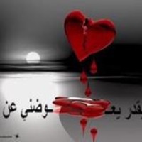 miss me - Single - noli