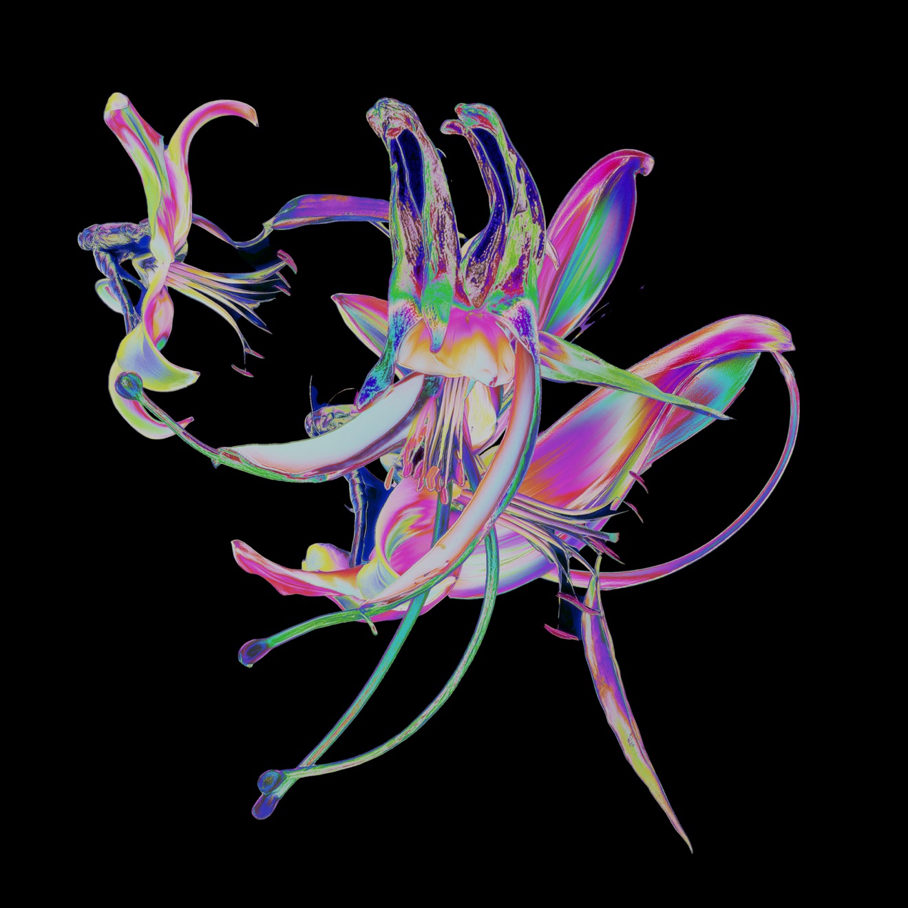 Theo Kottis – Drone – Single (2025) [iTunes Match M4A]