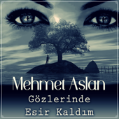 Gözlerinde Esir Kaldım song art