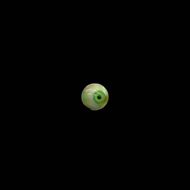 You Know I Had 2 $aNKO & DeLudus