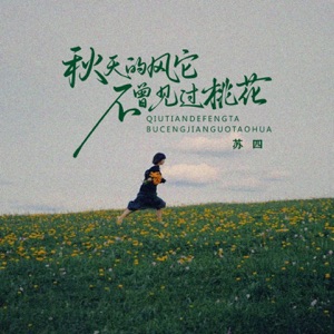 秋天的风它不曾见过桃花 - Single