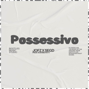 Possessivo