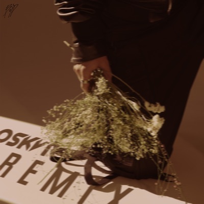 t6en2osus (paraq) [feat. nublu] [OSKVR Remix] - Single