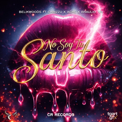 No Soy Tu Santo (feat. Braulio VH & Ache) - Single
