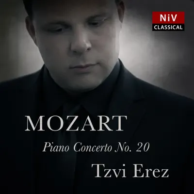 Piano Concerto No. 20 in D Minor, K. 466: III. Allegro assai