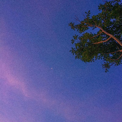 Quiet Hours - Single