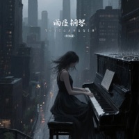 雨夜钢琴 (Dj防城港进行曲) - Single - 宋知夏