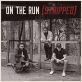 On the Run (Stripped) - Ashes &amp; Arrows Cover Art