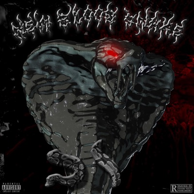 ZAZA HEAVY (feat. HunchoB$A) - Single