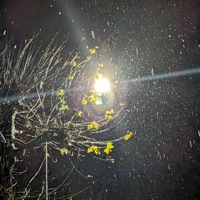 WONT QUIT - Single - Yopik