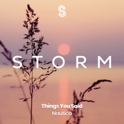 Things You Said - Single