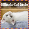 Ultimate Cat Music - Soothing Rhythms for Anxious Cats