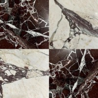 MRBLE FLRZ - EP - Gold Laced Productions