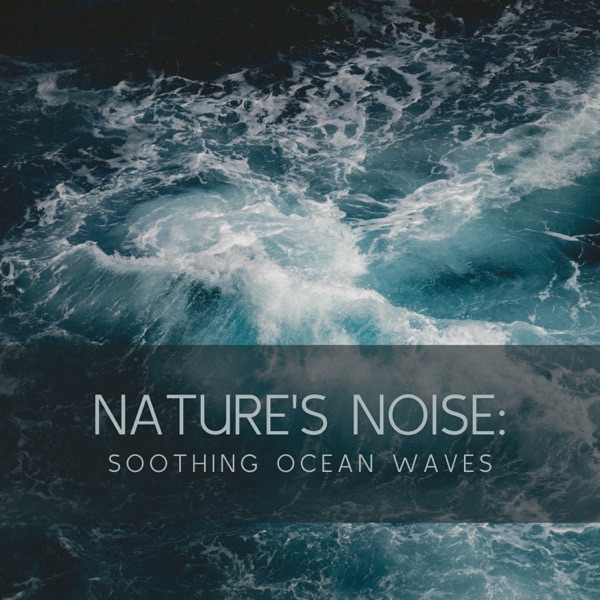 Nature's Noise: Soothing Ocean Waves